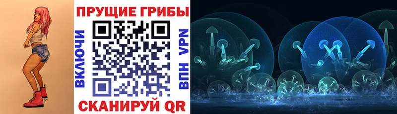 закладки  shop состав  Галлюциногенные грибы MAGIC MUSHROOMS  Приморско-Ахтарск  блэк спрут ССЫЛКА 